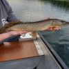 Fishing In Dolberg Lake Fishbrain