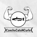 CzechsCatsNCurls