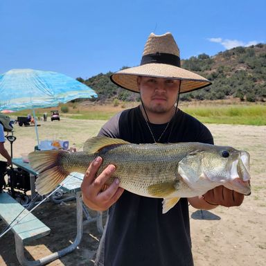 kevin rogers crappie rod