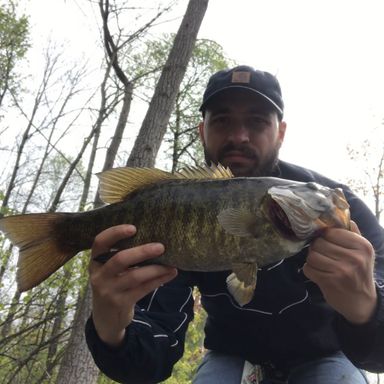 Thumbnail of Smallie Smasher presented by fishbrain user mikecianfrocco.