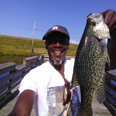 Thumbnail of Gulp!® Crappie Nibbles presented by fishbrain user michaelburks.