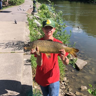 Fishing In Rochester Find Spots Species Tips Fishbrain