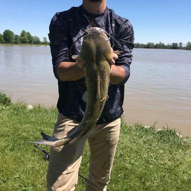 Catch from Freshwater419