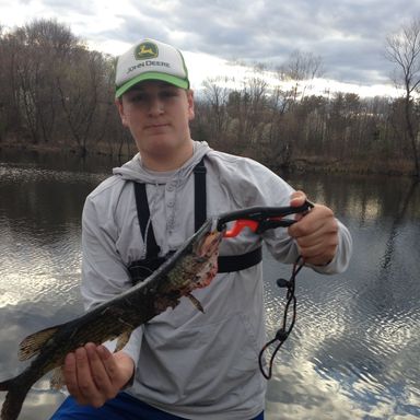 yampa river spinning reel