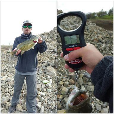 Thumbnail of Roboworm Alive Shad 4" presented by fishbrain user mrxiong510.