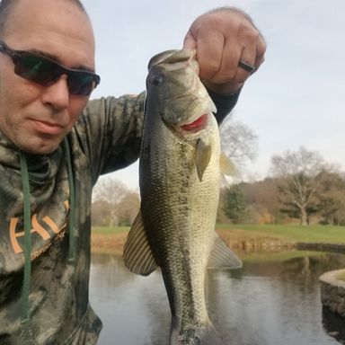 Thumbnail of Roboworm Straight Fat 6" presented by fishbrain user anthony.primavera.