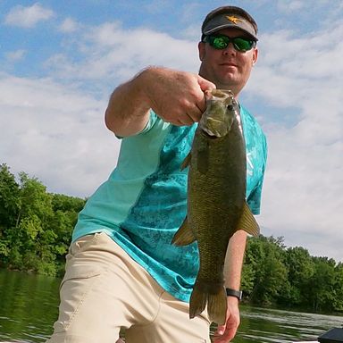 Thumbnail of Flutter Shad presented by fishbrain user justinkolp9.