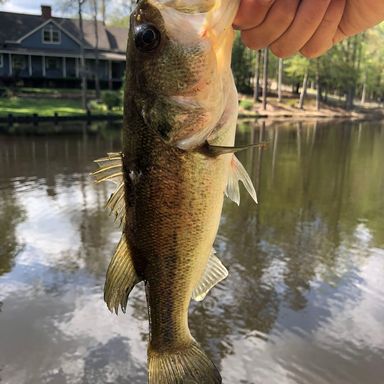 Thumbnail of Favorite Fire Stick Spinning Combo presented by fishbrain user cole.griggs.fishing.