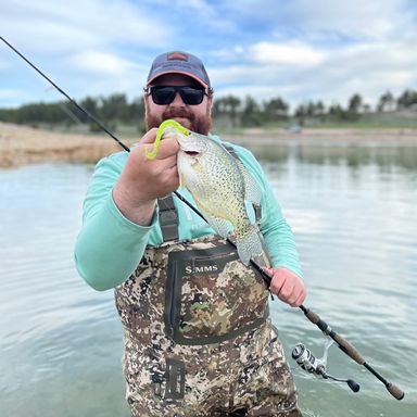 BFishN Tackle AuthentX Ringworm presented by fishbrain user austinmanthey.