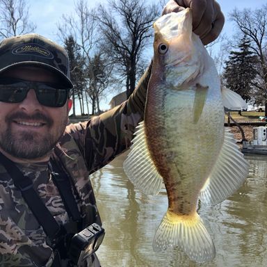 kevin rogers crappie rod