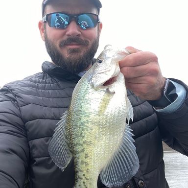 Thumbnail of Mr Crappie Grub 2" presented by fishbrain user JWIrwin.