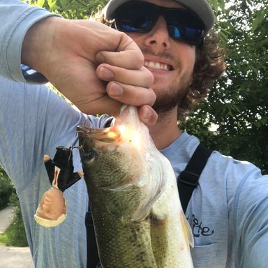 Trump Topwater Fishing Lure presented by fishbrain user mikematey.