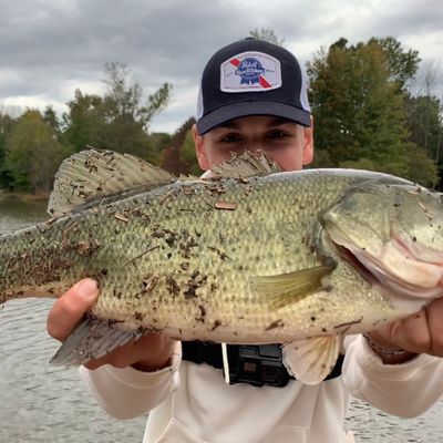 Fishing reports, best baits and forecast for fishing in Mercer County Lake