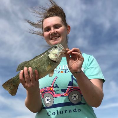 Fishing reports, best baits and forecast for fishing in Lake Meredith Inlet