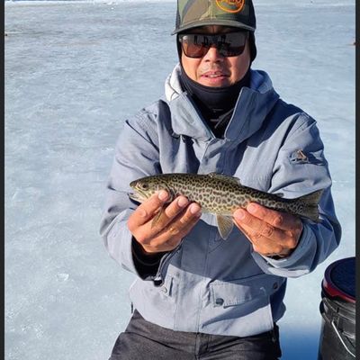 fishing spooner lake nevada