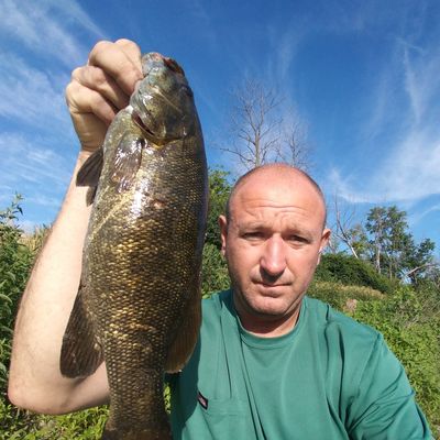 Recently caught Smallmouth bass