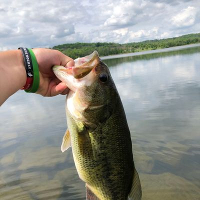 Lake Galena Fishing Map Fishing In Lake Galena