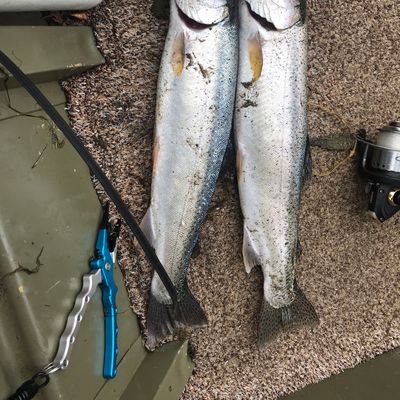 Fishing reports, best baits and forecast for fishing in Lake Earl