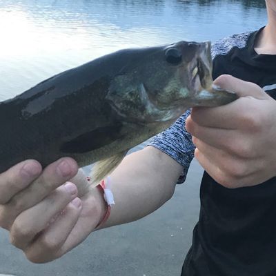 Fishing In Nonesuch Pond