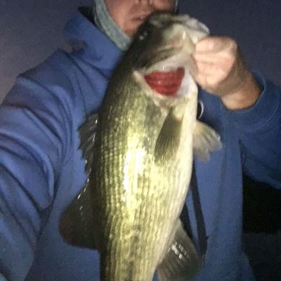 Fishing reports, best baits and forecast for fishing in Lake Hickory