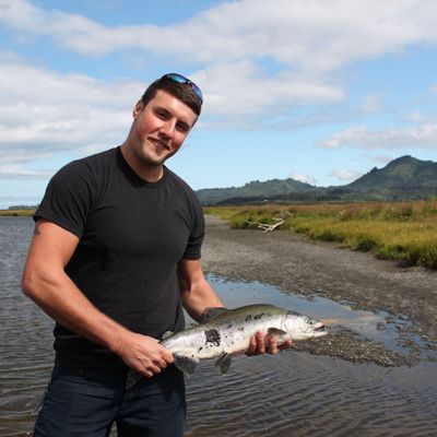 Recently caught Coho salmon