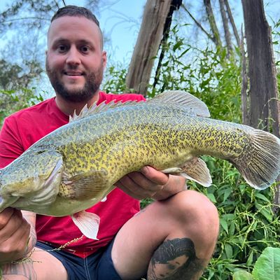 Aug 2022 Turon River fishing