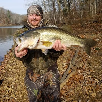 Fishing reports, best baits and forecast for fishing in Barren River Lake