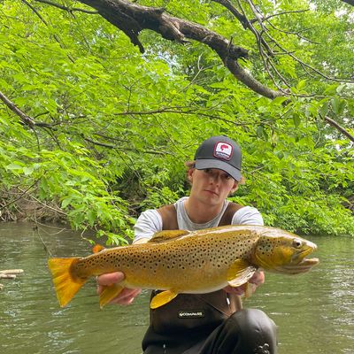 Vermillion River Trout Fishing Map Fishing In South Branch Vermillion River