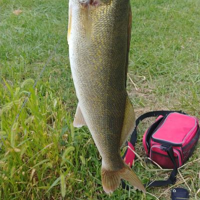 Tampier Lake Fishing Map Fishing In Tampier Lake