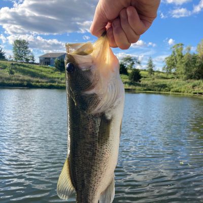 Fishing in Box Elder Creek