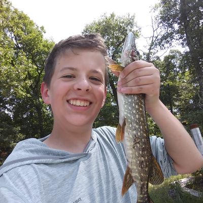 Fishing reports, best baits and forecast for fishing in Boner Lake