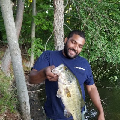 Fishing Reports, Best Baits And Forecast For Fishing In Oradell Reservoir