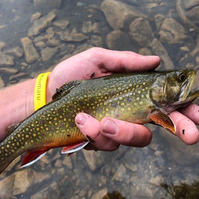 Fishing in Elbow Lake