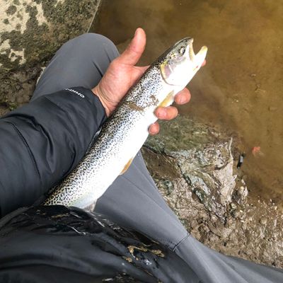 Fishing in Pilchuck Creek