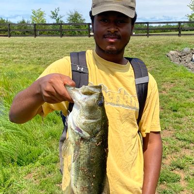 Fishing in Lake Manassas | Fishbrain