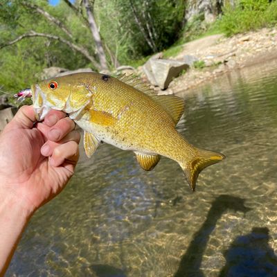 Fishing in Johns River | Fishbrain