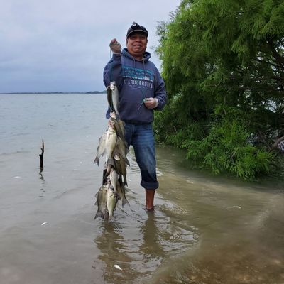 Fishing in Lavon Lake