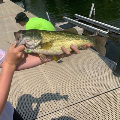 Fishing In Osoyoos Lake Fishbrain