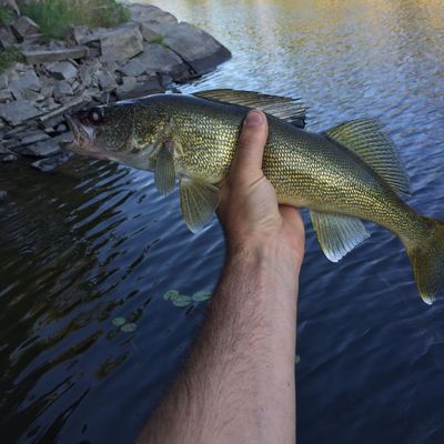 Fishing in Main Channel (French River) | Fishbrain