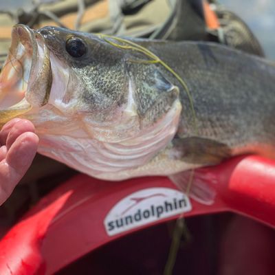 Fishing in Willow Creek Reservoir | Fishbrain