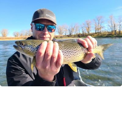 Fishing in Bow River | Fishbrain