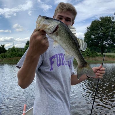 payne lake catches logged