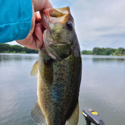 Fishing in Pompton Lake | Fishbrain