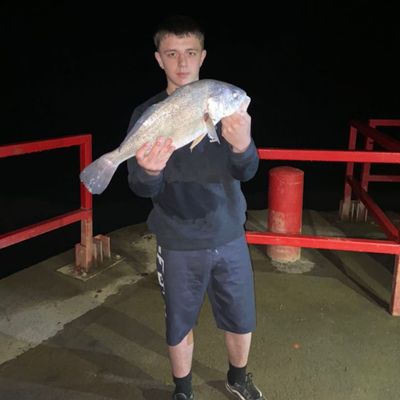  Fishing for Freshwater drum near you Fishbrain