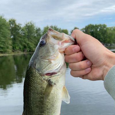 Fishing in Hogback Lake | Fishbrain