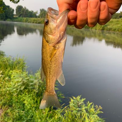 Fishing in Turkey Run Lake | Fishbrain