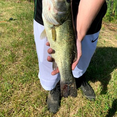 Fishing in Goose Creek Reservoir | Fishbrain