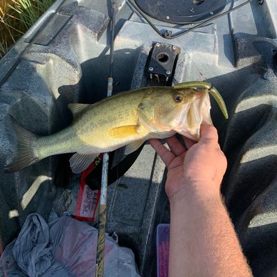 Fishing In Lake Sheridan Fishbrain