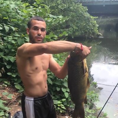 hackensack catches logged