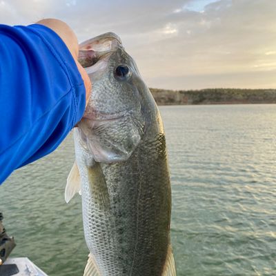 Fishing in Lake Meredith | Fishbrain